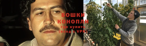 МДПВ Инта