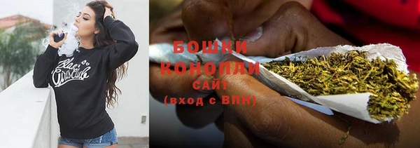 трава Иннополис