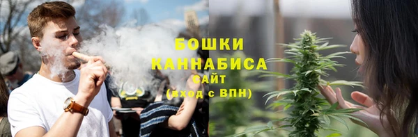 трава Иннополис