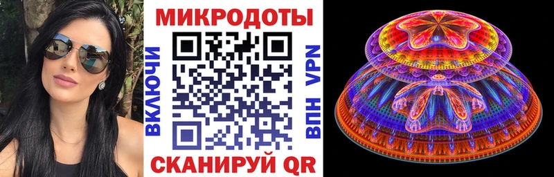 Псилоцибиновые грибы Psilocybe  Лысьва 
